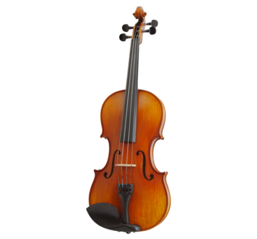Viola
