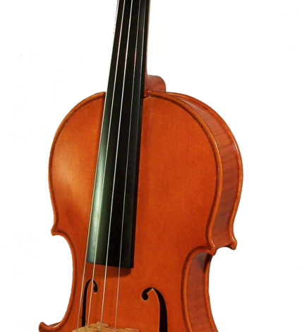 Violino